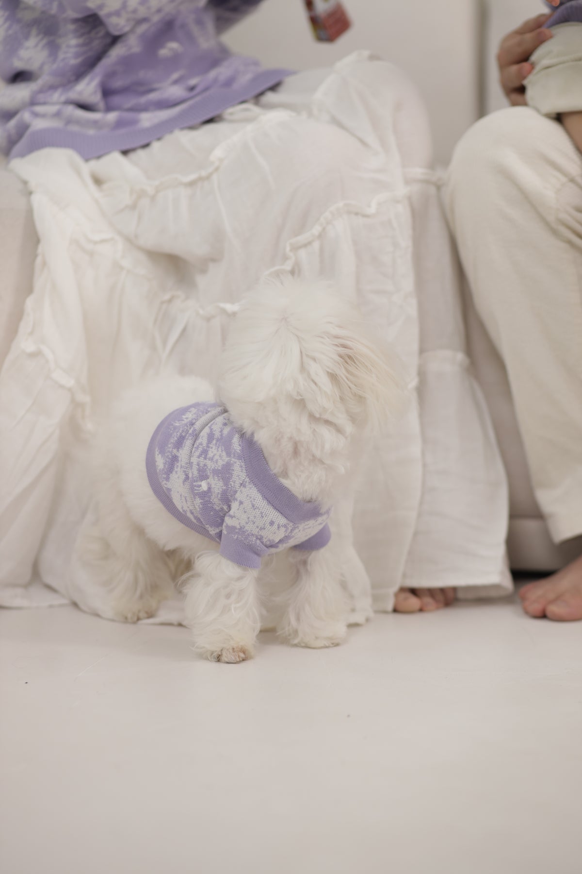 Vale Pet Sweater