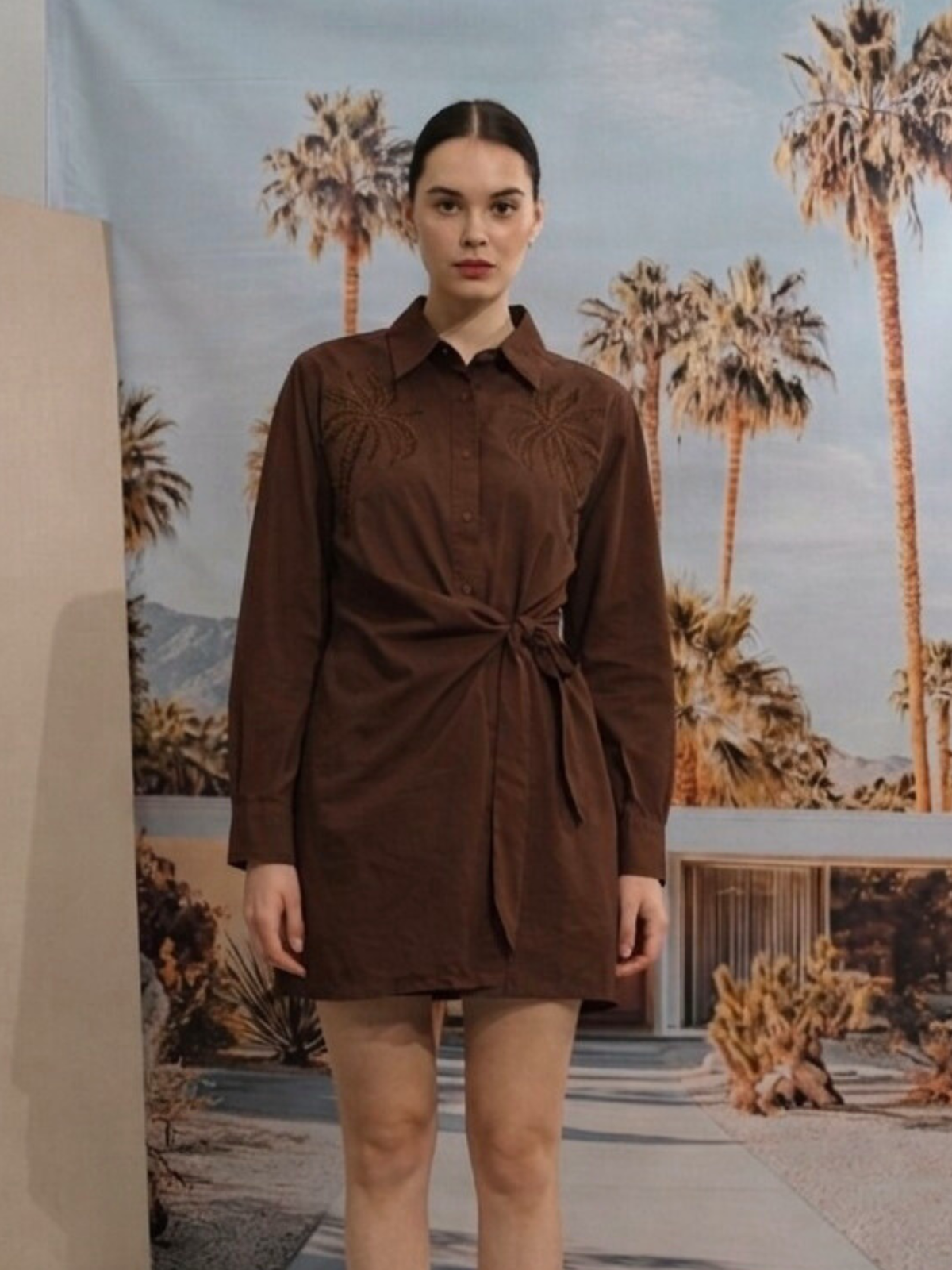Ellea Shirt Dress