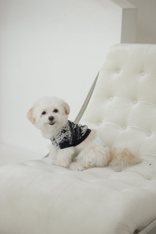 Vale Pet Sweater