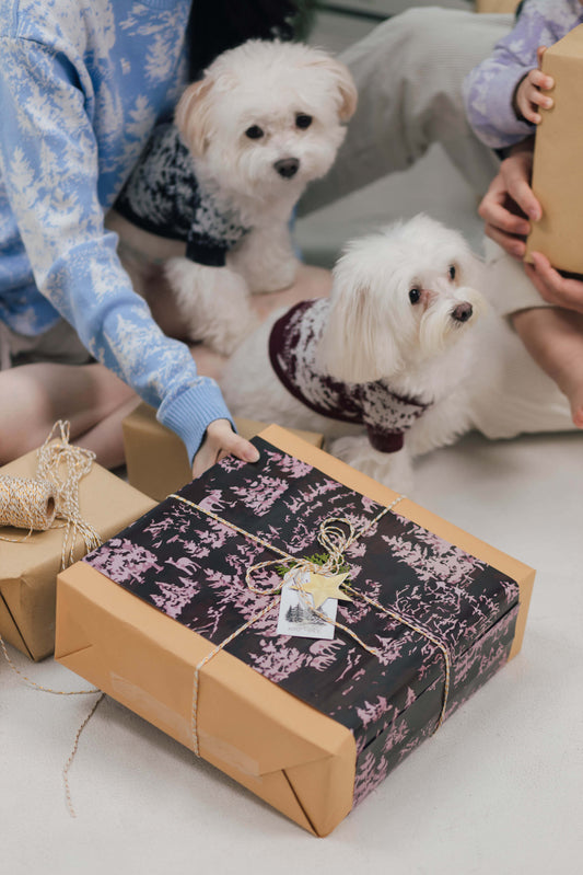 Vale Pet Sweater